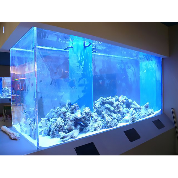 Factory Customized Outdoor Cylindrical Acrylic Aquarium, Super Professional Marine Large Plexi glass Fish Tank@