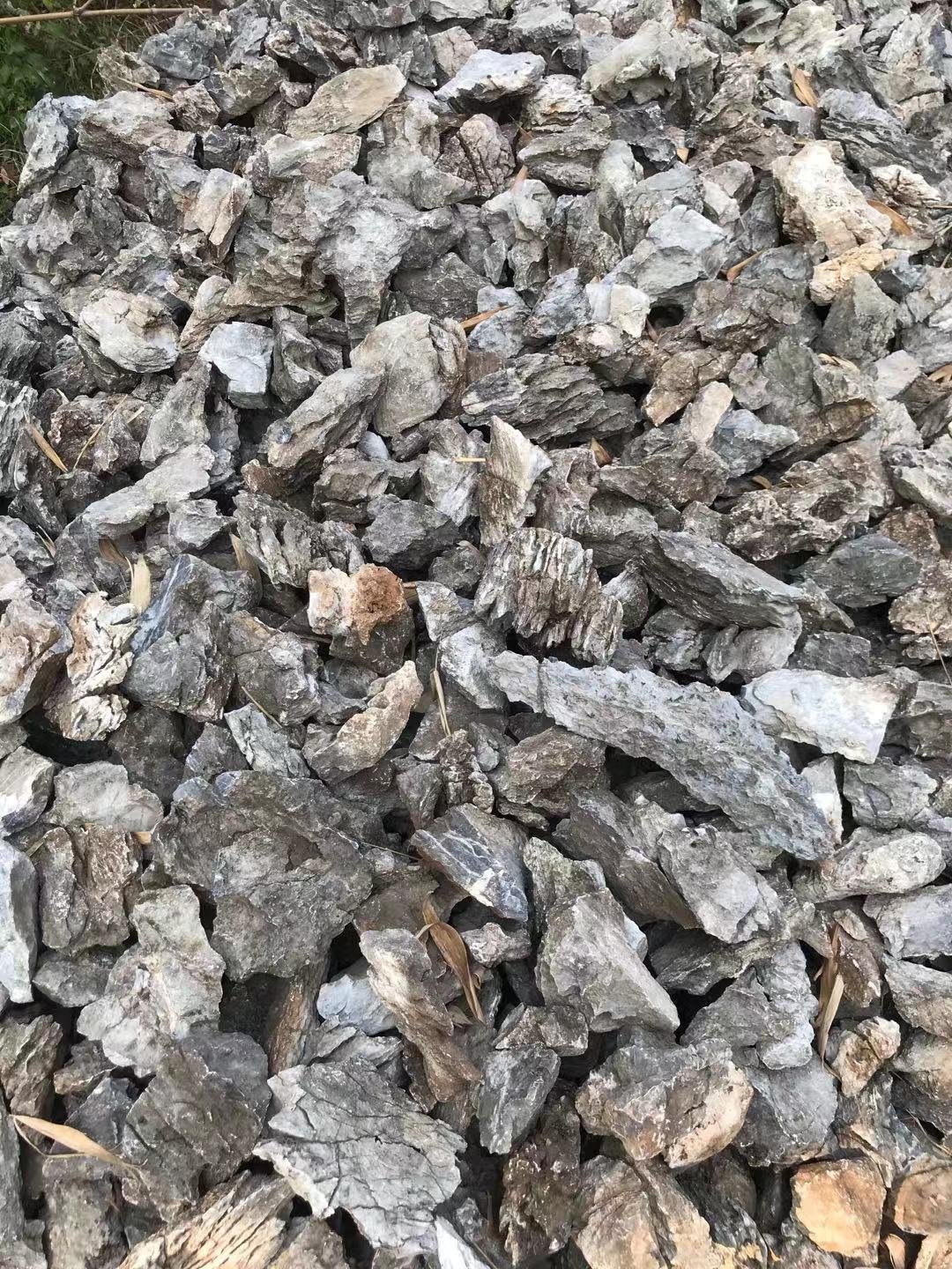 Seiryu Stone for Aquarium Decoration Stone Aquarium Decoration in the Aquarium