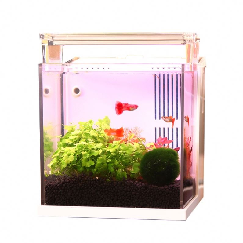 High quality aquarium tank modern seawater aquarium fish tank