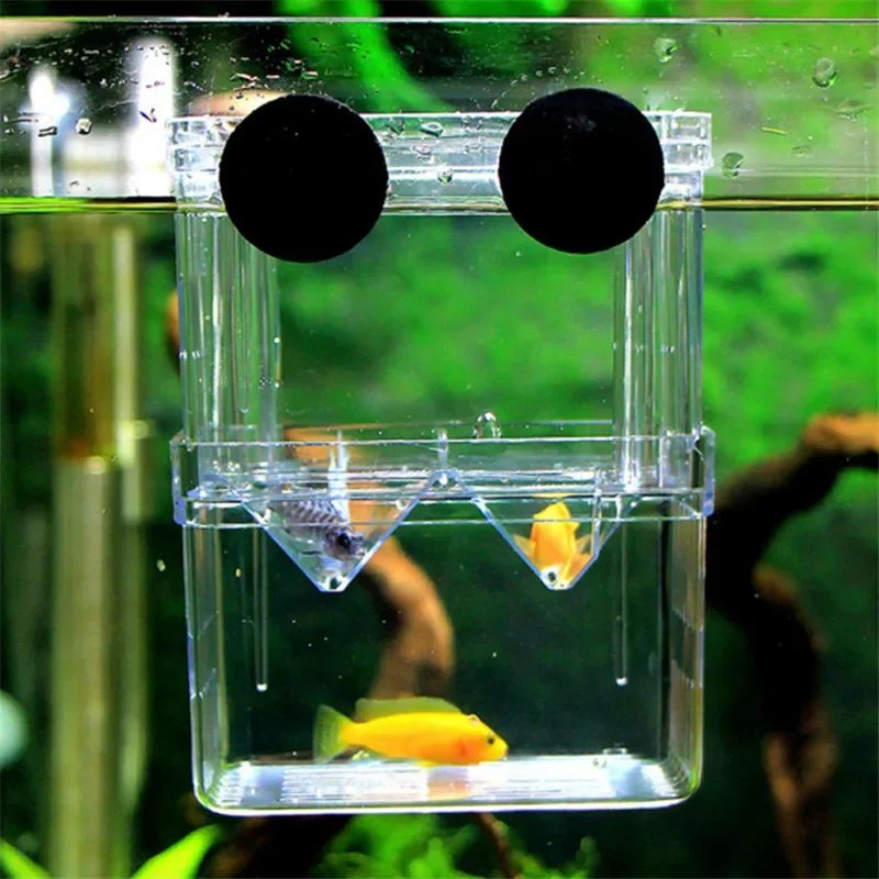 Acrylic Breeder Box Fish Breeding Isolation Box Fish Hatchery Divider Shrimp Clownfish Aggressive Fish Prevent Injured Aquarium