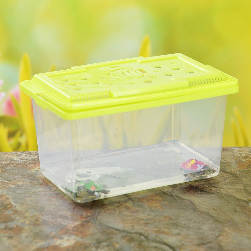 Wholesale Transparent Plastic Aquarium Tank with Turtle and Lizards for Bettas PP Material Water Usage