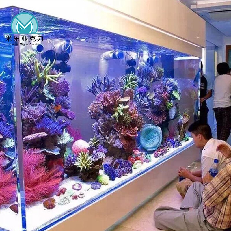Direct factory supply crystal clear new design glass fish tank aquariums