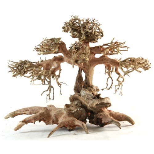 2024 Hot product Bonsai Driftwood for decorate fish tank WhatsApp +84 961005832