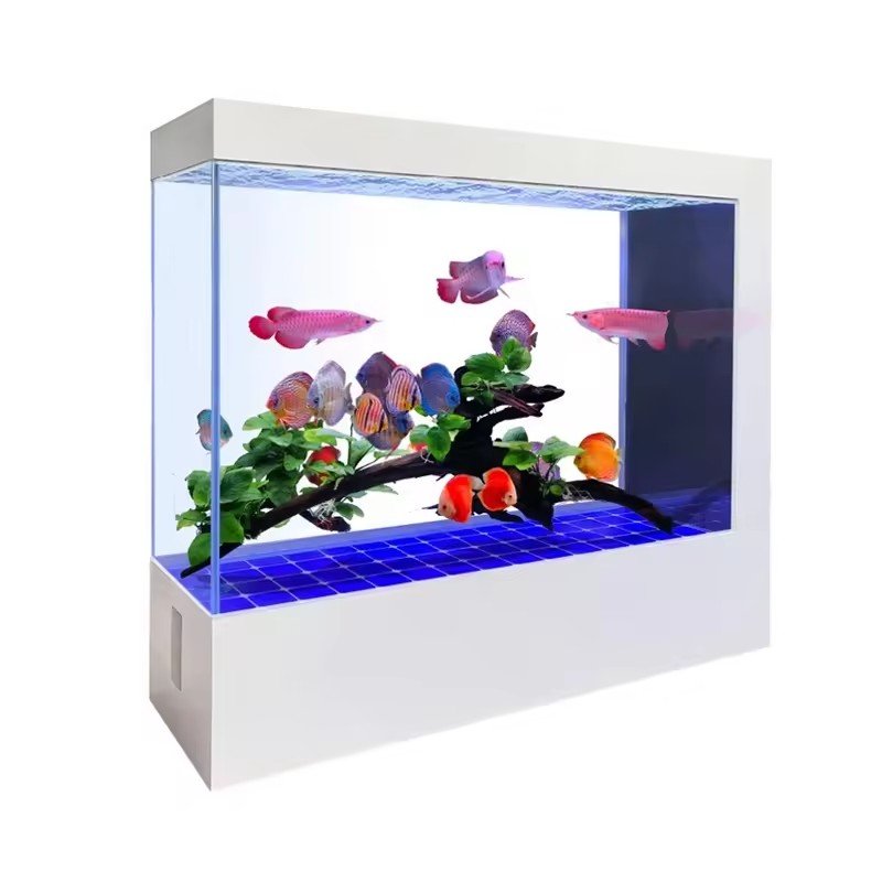 rectangle large acrylic customized size fish tank Aquarium with bottom and lid Tempered Glass Rectangle Fish Tank