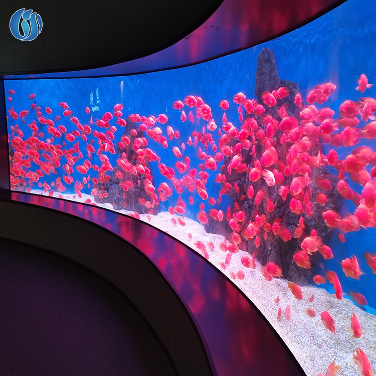 Super Professional Heat Resistant New Style Small Aquariums, Acrylic Fish Aquarium%