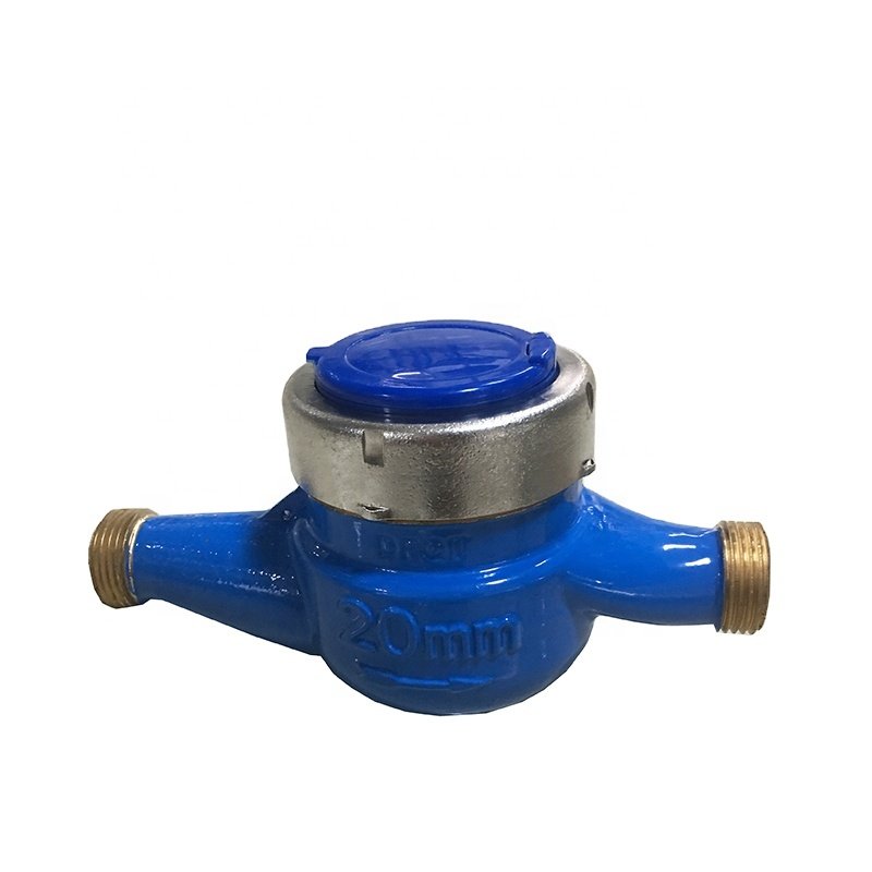 Gaoxiang coriolis mass flow meter cold meters for water flow rate
