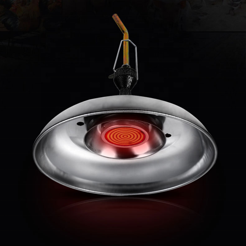 biogas room heater heating lamp lighter price biogas light appliance treatment equipment accessory