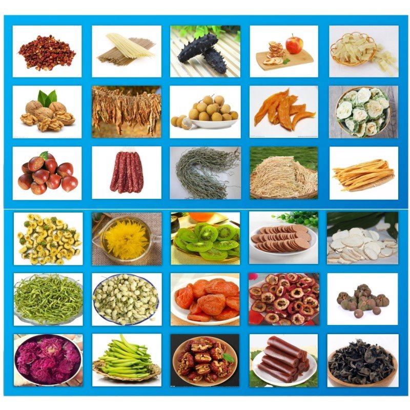 Multi functional customizable carpet drying machine dehydrator biogas machine dalle dryer