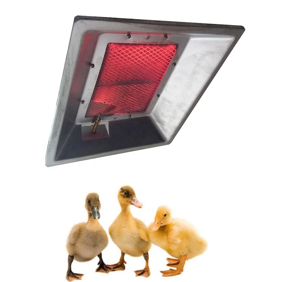 Chicken house farm radiant poultry infrared biogas heater gas brooder