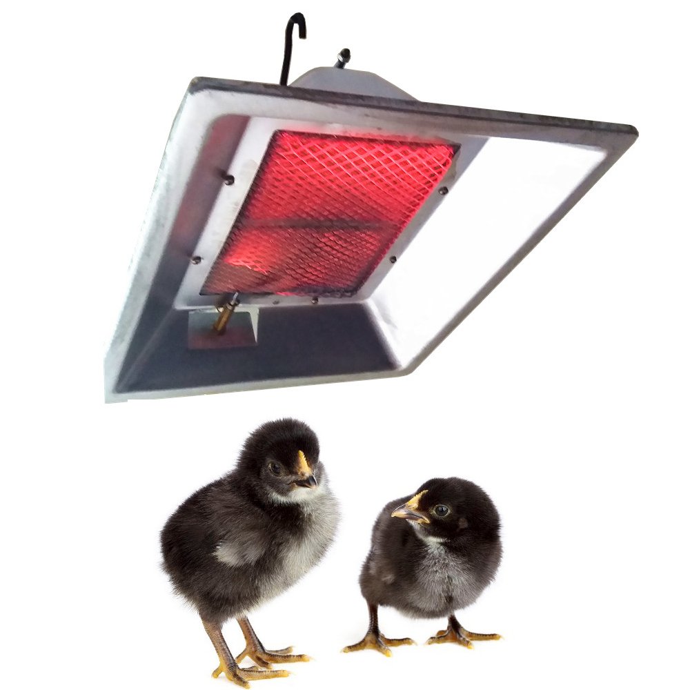 Chicken house farm radiant poultry infrared biogas heater gas brooder