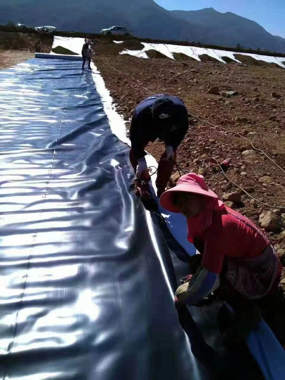 Gomembrane biogas pool black film HDPE fish pond aquaculture thickened anti-seepage membrane manufacturer