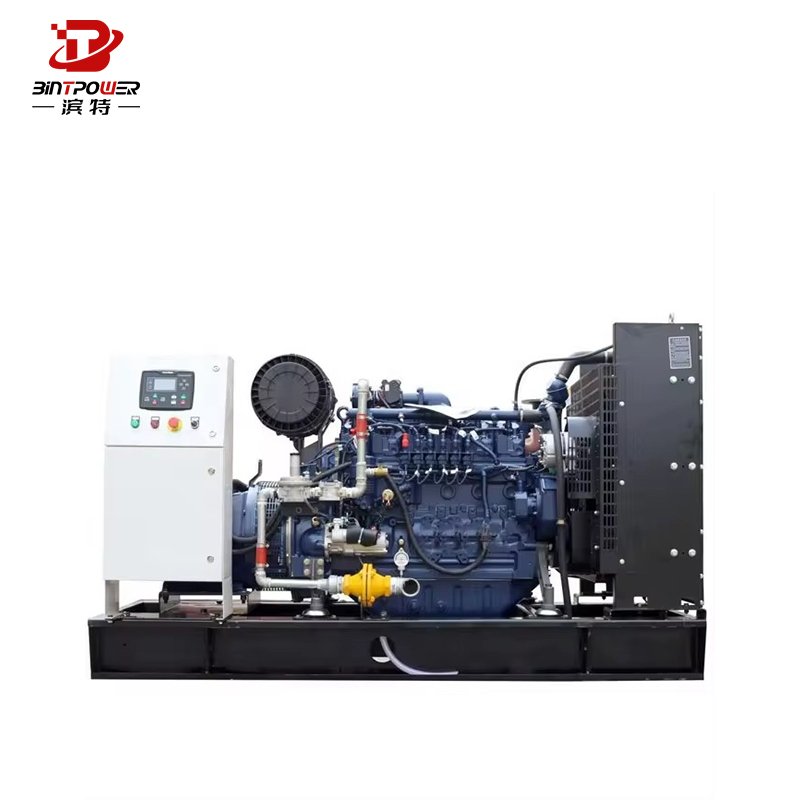 chinese factory high-power 300kW/375kVA Open/Silent Gasoline LPG natural gas generator water-cooled gas generator set