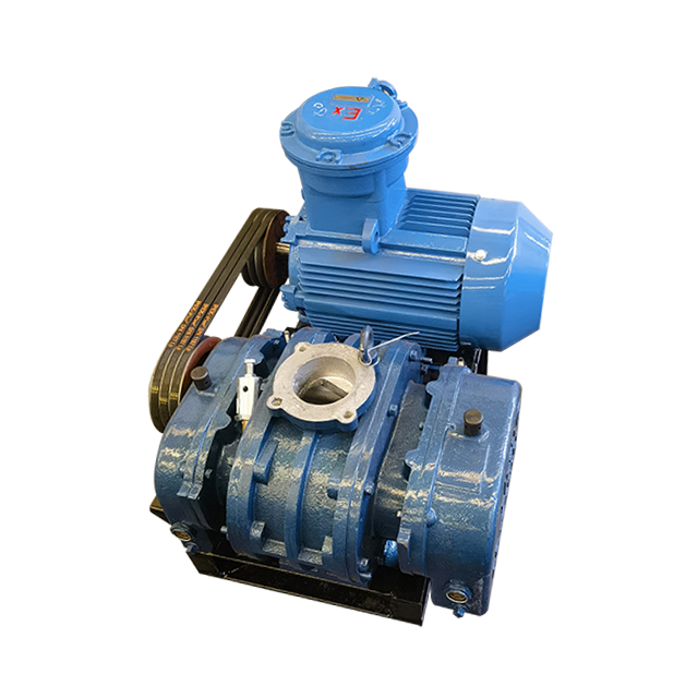 RSR series root air blower used for biogas blower Dresser Roots Blower