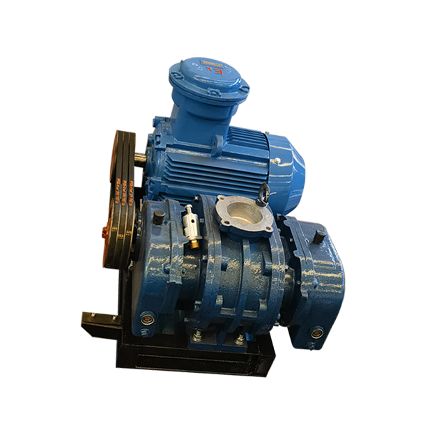 RSR series root air blower used for biogas blower Dresser Roots Blower