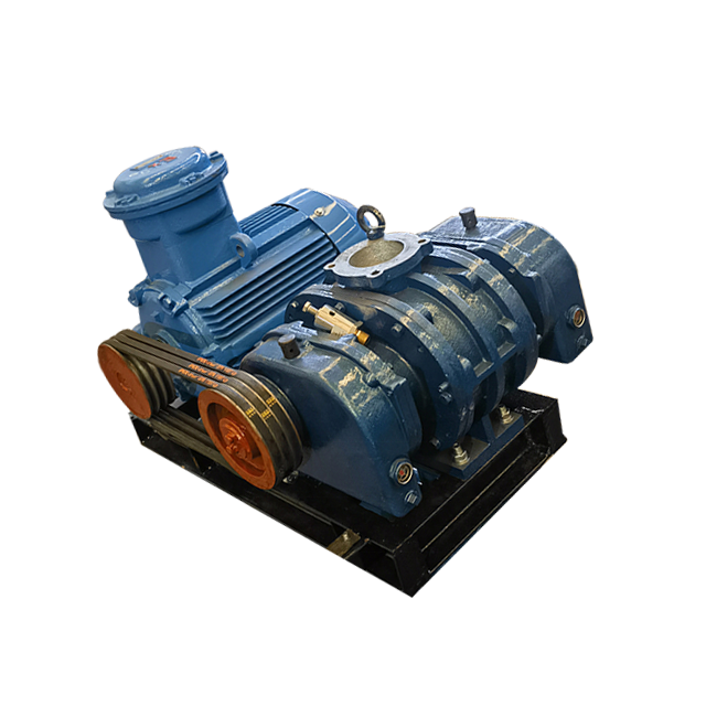 RSR series root air blower used for biogas blower Dresser Roots Blower