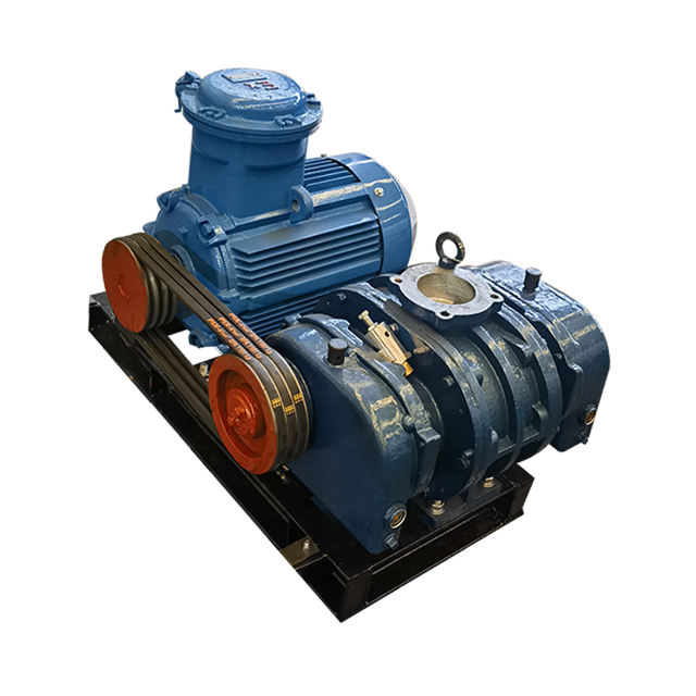 RSR series root air blower used for biogas blower Dresser Roots Blower