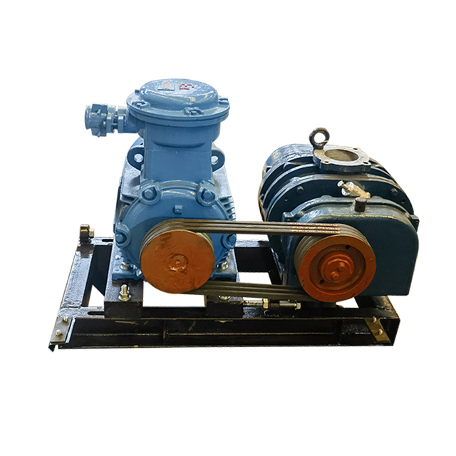 RSR series root air blower used for biogas blower Dresser Roots Blower