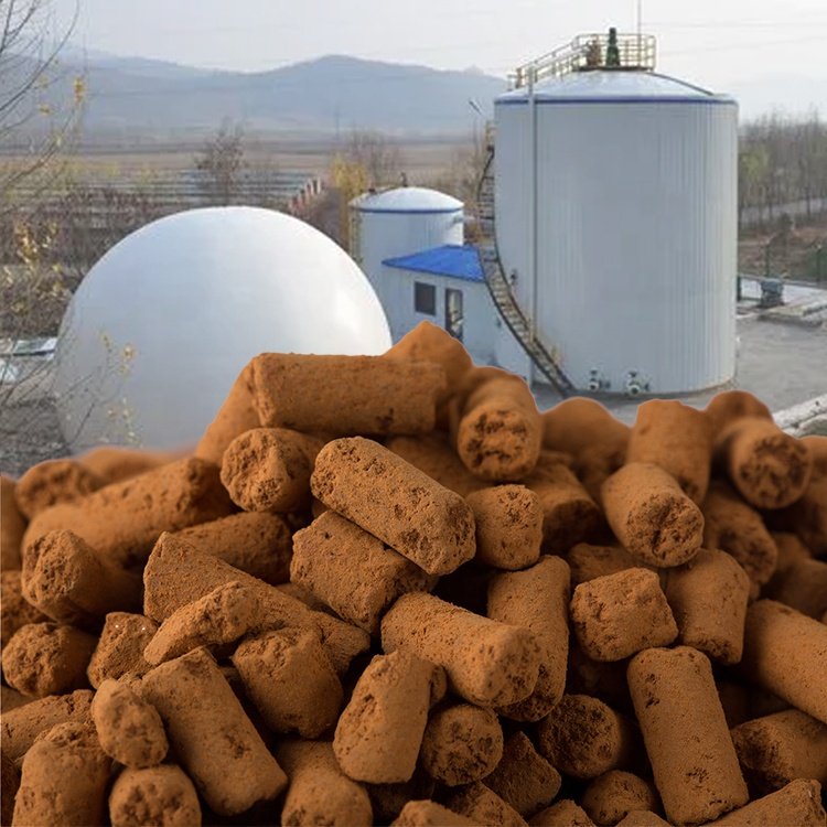 Fe2O3 Desulfurization Catalyst For H2S Remove Biogas Desulfurization Filtration Catalyst