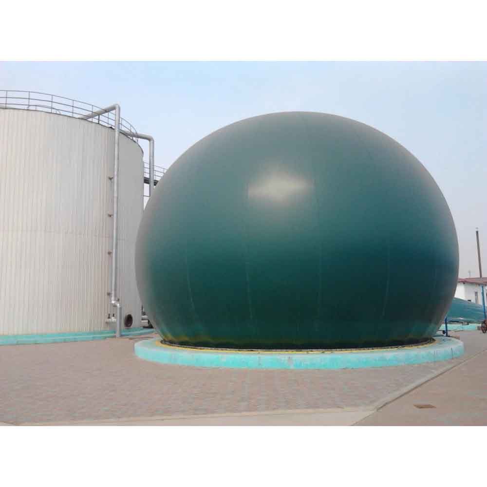 home biogas purification system digester plant farm poultry house biodigestor bio gas plant