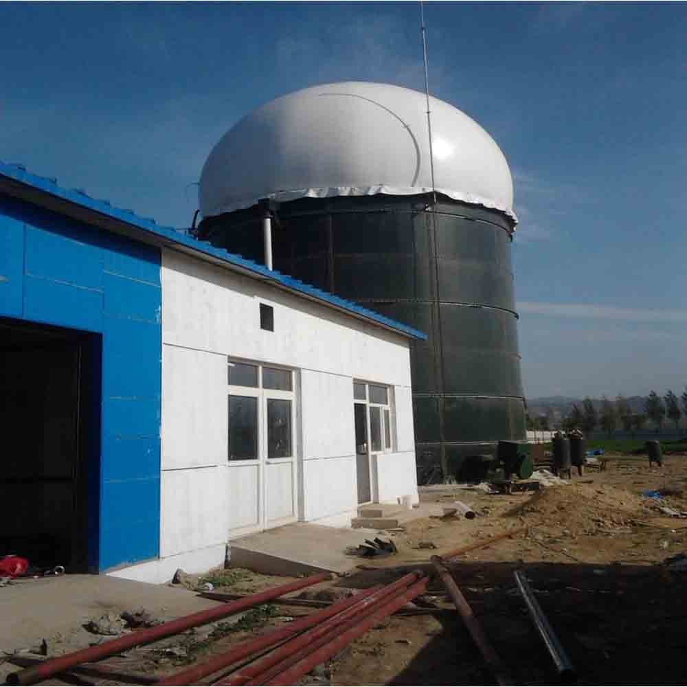 home biogas purification system digester plant farm poultry house biodigestor bio gas plant