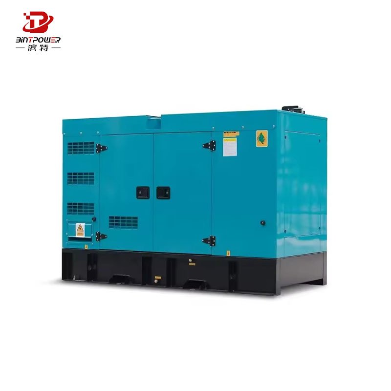BINTPOWER 100kw 250kw price Soundless Silent Natural Gas Power Plant lpg gas Generator Set