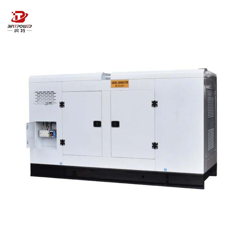 BINTPOWER 100kw 250kw price Soundless Silent Natural Gas Power Plant lpg gas Generator Set
