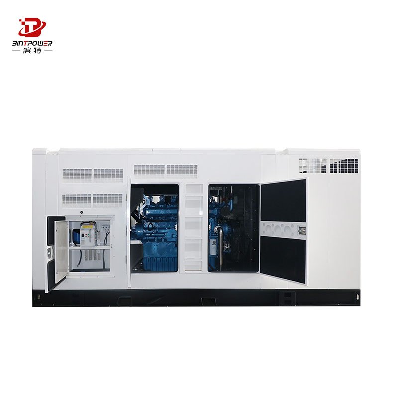 BINTPOWER 100kw 250kw price Soundless Silent Natural Gas Power Plant lpg gas Generator Set