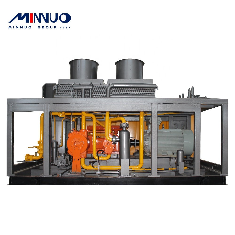 Eco-friendly design industrial biogas compressor air compressor 300bar for sale