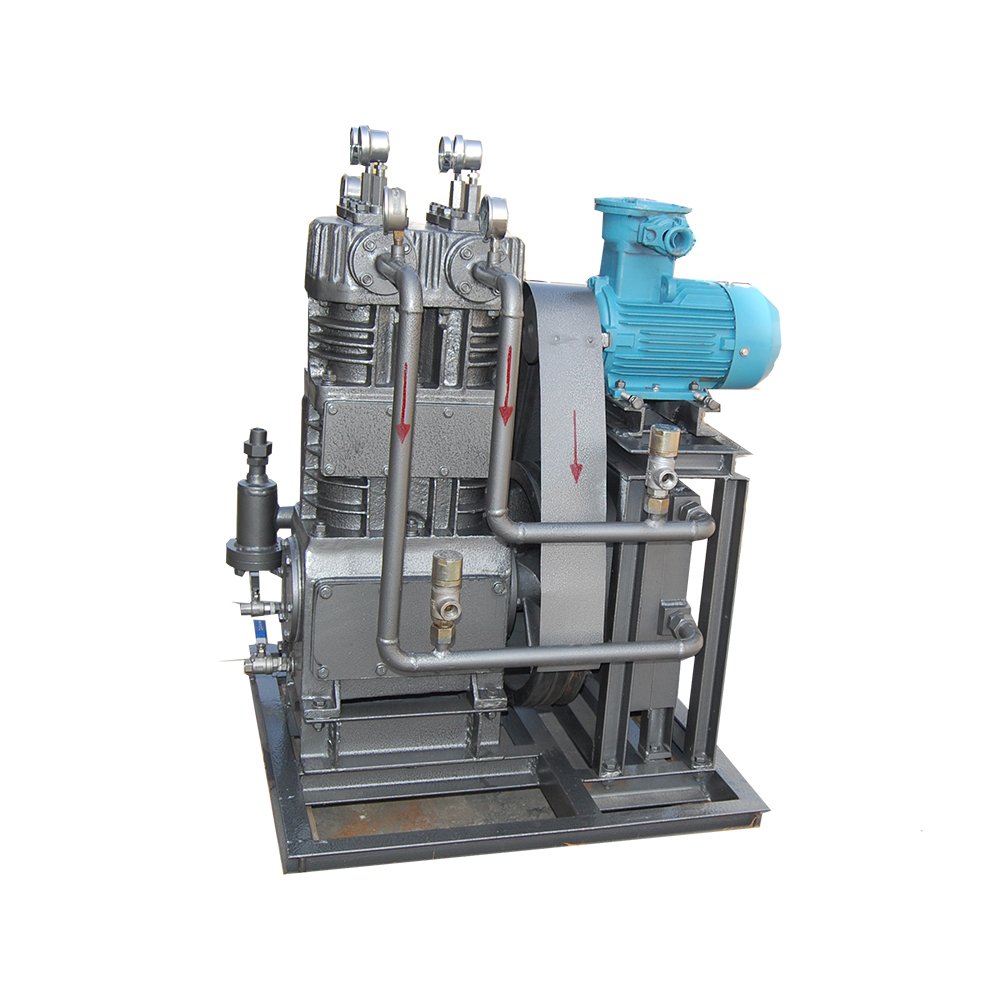 Biogas Compressor for Biogas Plant Biogas Booster Compressor for Industry