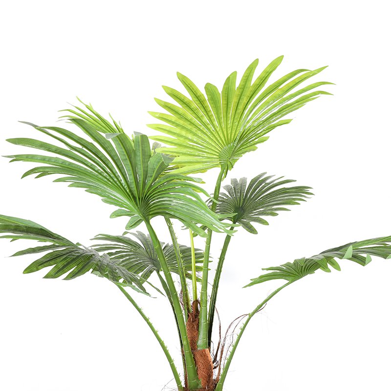1.6~3.5m Latest Plastic Artificial Palm Coconut Tree Decoration Tree for Home Garden Outdoor Decoration