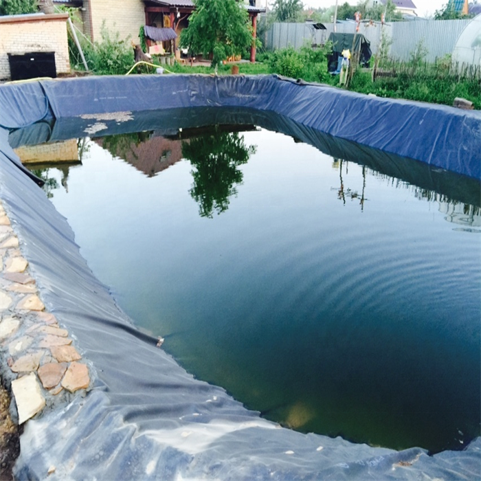 high quality dish pond dam liner hdpe geomembrane with factory direct price