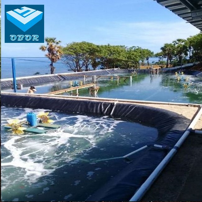 high quality dish pond dam liner hdpe geomembrane with factory direct price