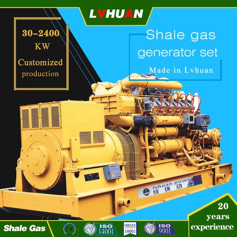 certificate ce high efficiency 120 kw power biogas generator