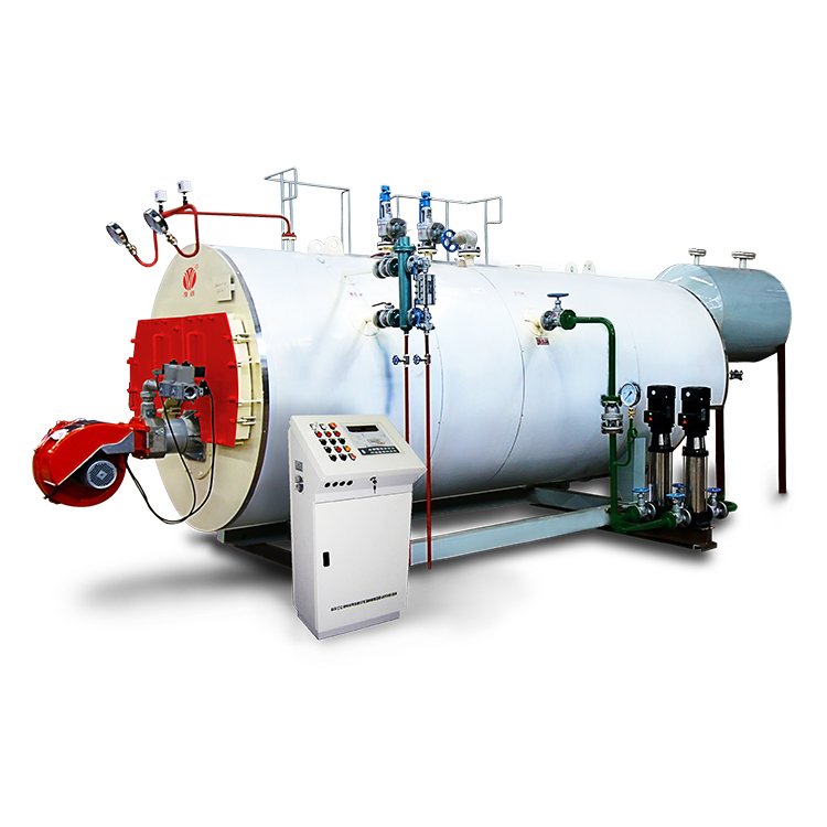 Wns6-1.25-Yq 6 Tph Gas LPG LNG Diesel Heavy Oil Fired Steam Boiler