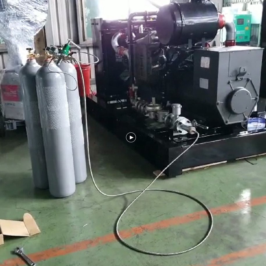 wholesale MT13 hydrogen gas engine generator h2 methanol biogas engine LPG biomass syngas natural gas LPG hydrogen power engine