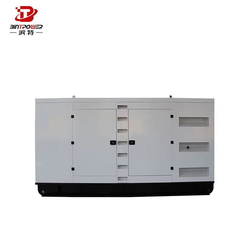 Emergency BINTPOWER 100kw Super Silent Portable Inverter Gasoline LPG NG Biogas Generator For Hot Sale