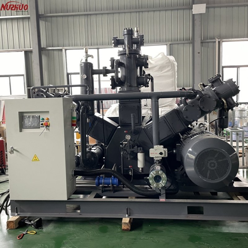 NUZHUO High-end Food Grade CO2 Compressor IP55 Protection CO2 Charging Machine for CO2 Filling Plant