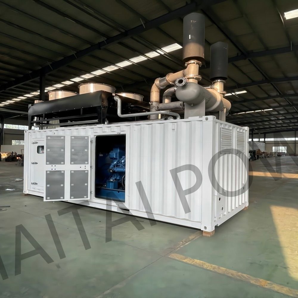 Baudouin 500kw 1000Kw Natural Gas Generator Set fuel Cng Lpg Biogas Gas Power Generator Industry 1000kva Consumption