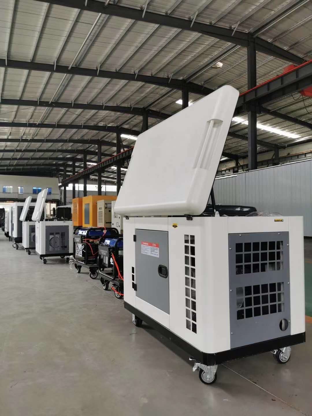 Noiseless 10kva Biomass Biogas Generator for Sale