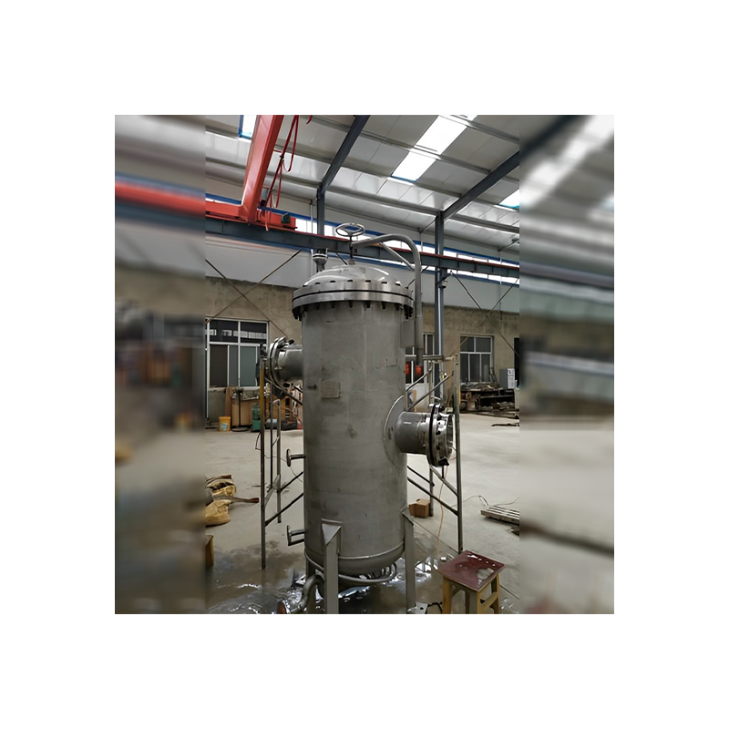 Professional High Quality Water Separator Dust Collector Biogas Filter