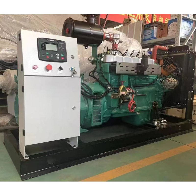 Low Rpm 10-2000kW 400kw Power CNG Hydrogen Biogas Propane LPG Natural Gas Turbine Generators Set Silent Soundproof Gas Generator