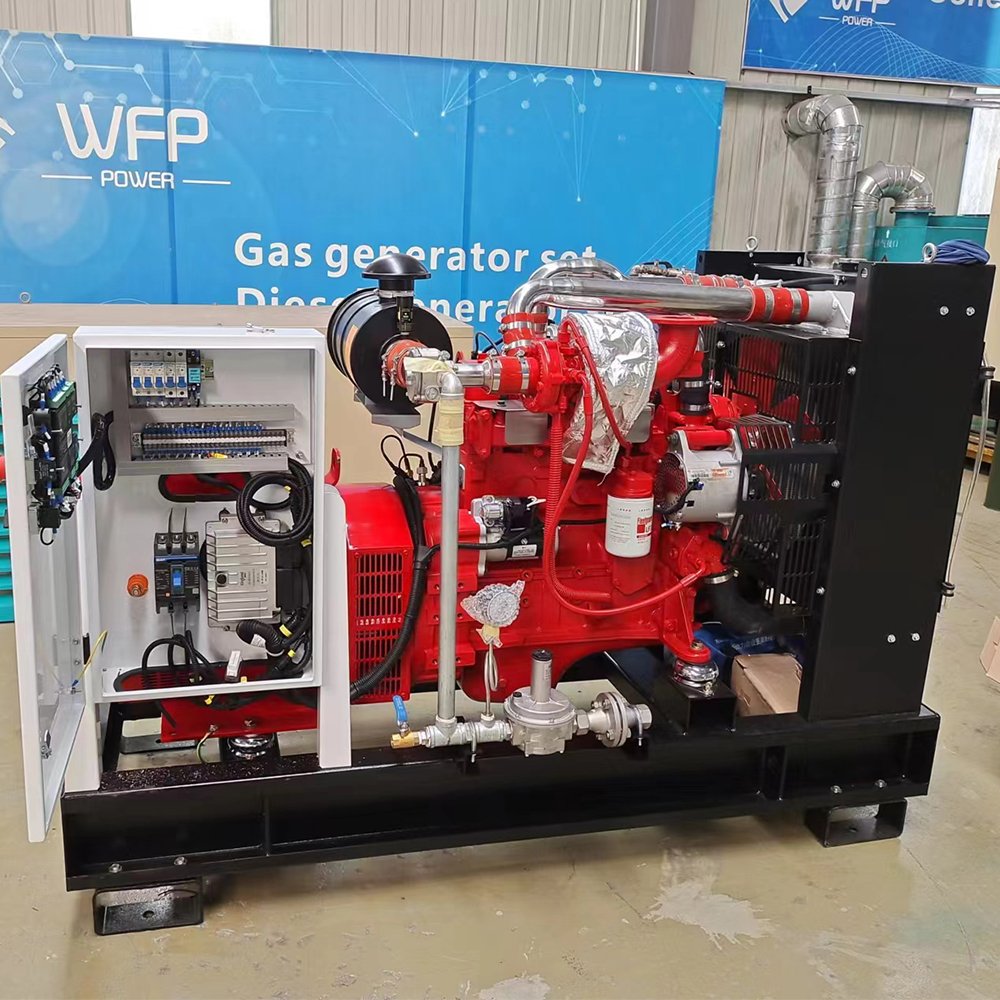 High quality 40kw CNG LPG gas generator set for sale, professional solution for your power supply. Natural gas generator