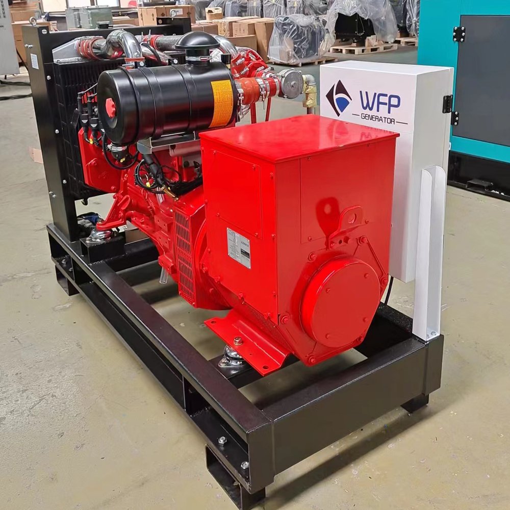 High quality 40kw CNG LPG gas generator set for sale, professional solution for your power supply. Natural gas generator