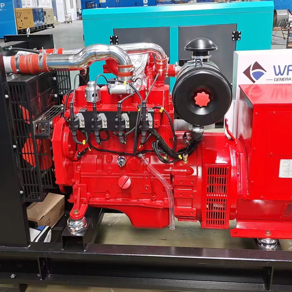 High quality 40kw CNG LPG gas generator set for sale, professional solution for your power supply. Natural gas generator