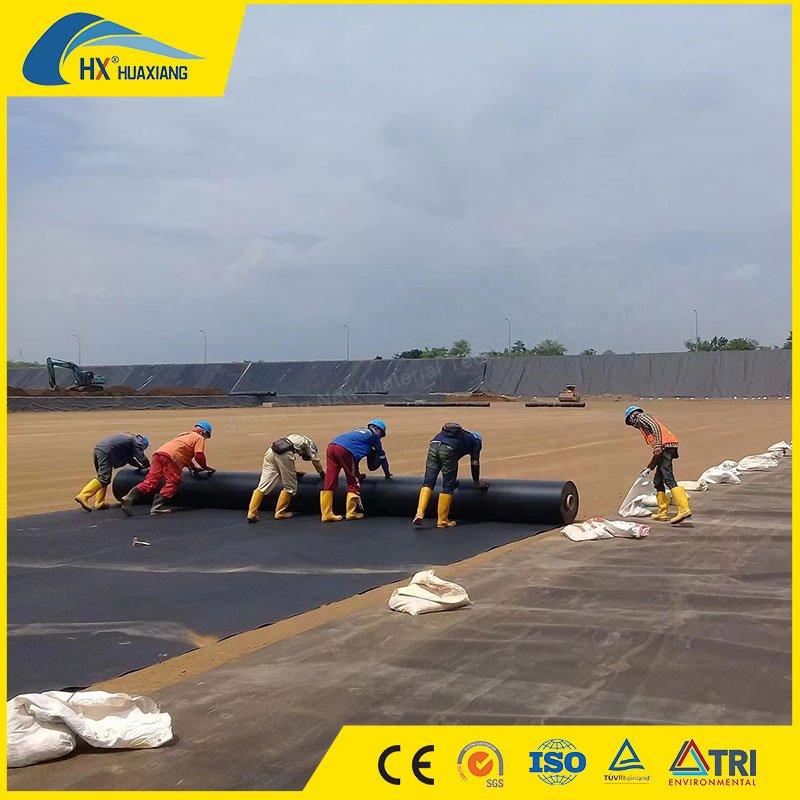0.5mm/0.75mm/1mm/2mm High Density Black HDPE Geomembrane for Fish Pond/Agriculture/Dam/Landfill/Lake/Biogas/Aquaculture Project