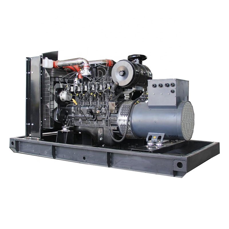 biogas /natural gas generator price 10kW-300kW.