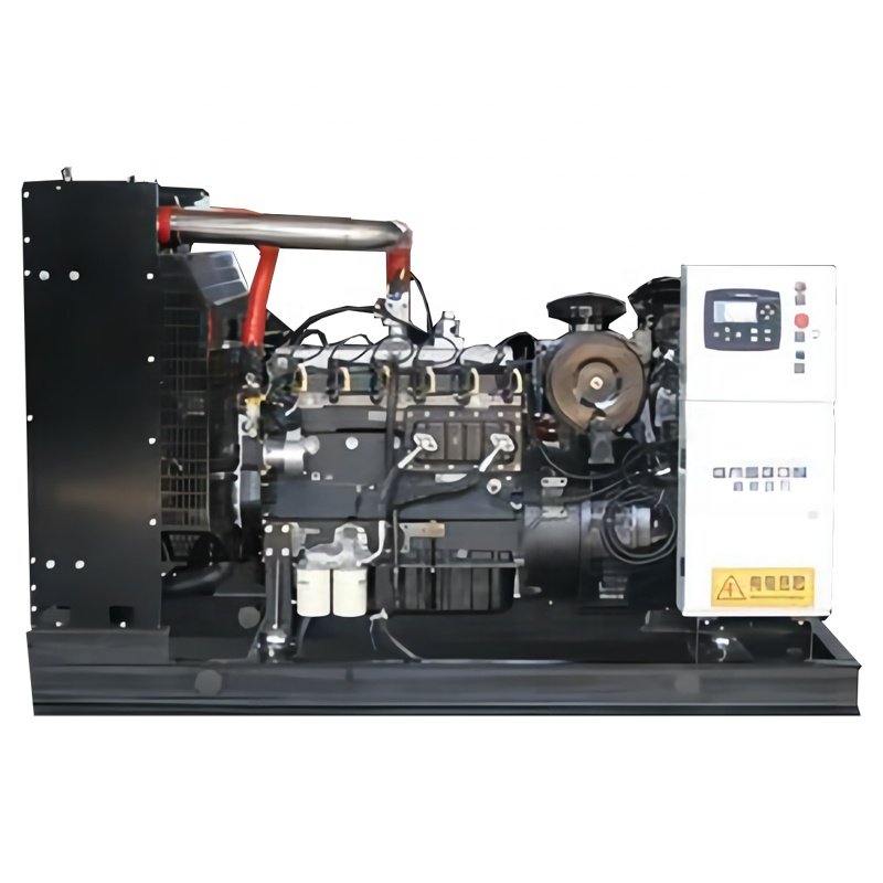 biogas /natural gas generator price 10kW-300kW.