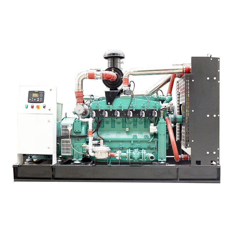 biogas /natural gas generator price 10kW-300kW.