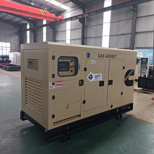 50kw gas natural generator famous brand biogas generator best quality canopy type gas generator Cummins