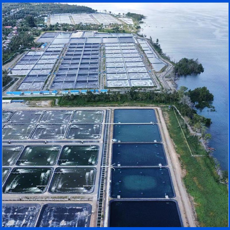 Smooth Textured HDPE Waterproof Geomembrane for Dam Liner Fish Farm Shrimp Pond Liner, Slurry Lagoon and Landfill
